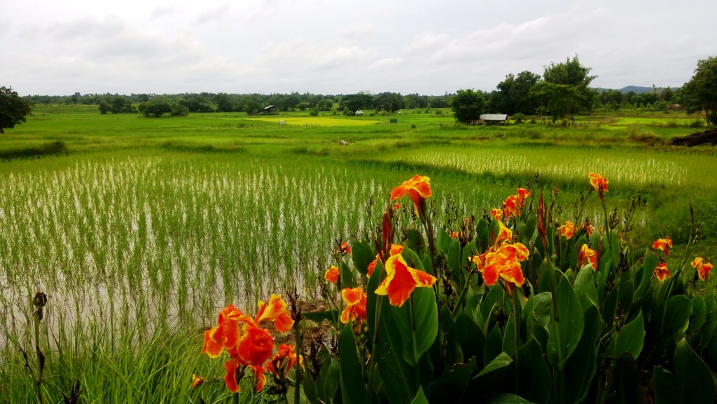 Amnat Charoen Province