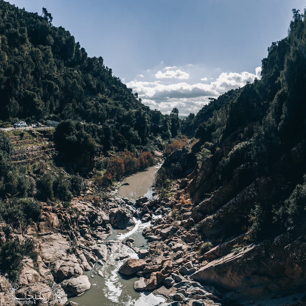 Chlef Province