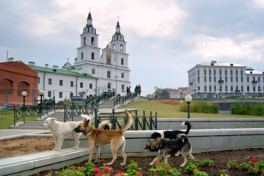 Minsk