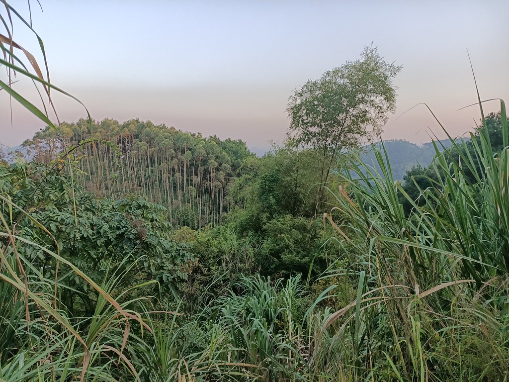 Lang Son Province