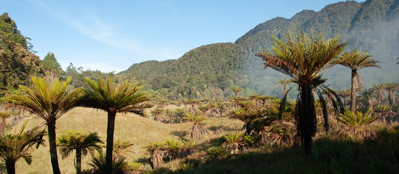 Papua New Guinea