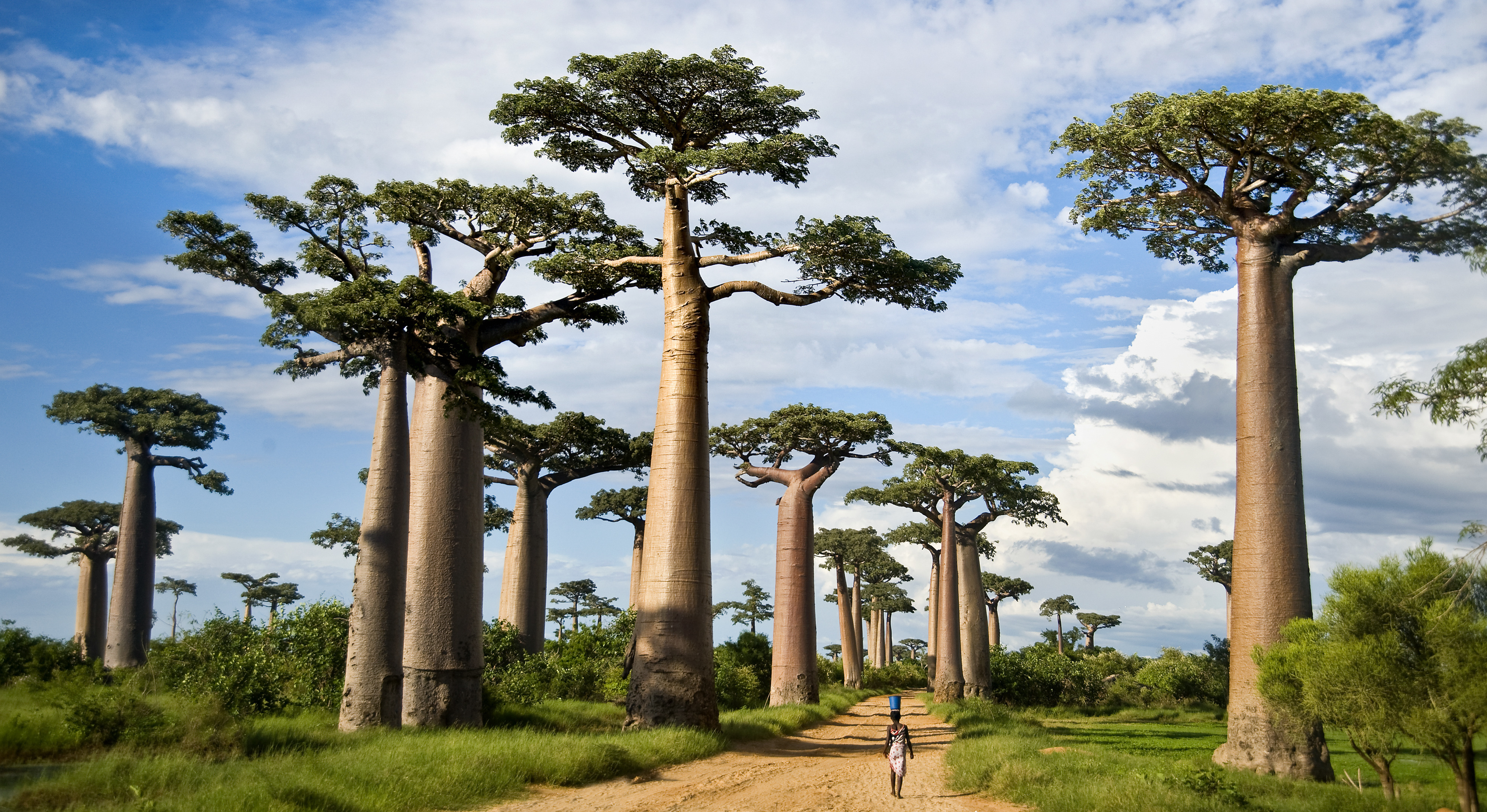 Central African Republic