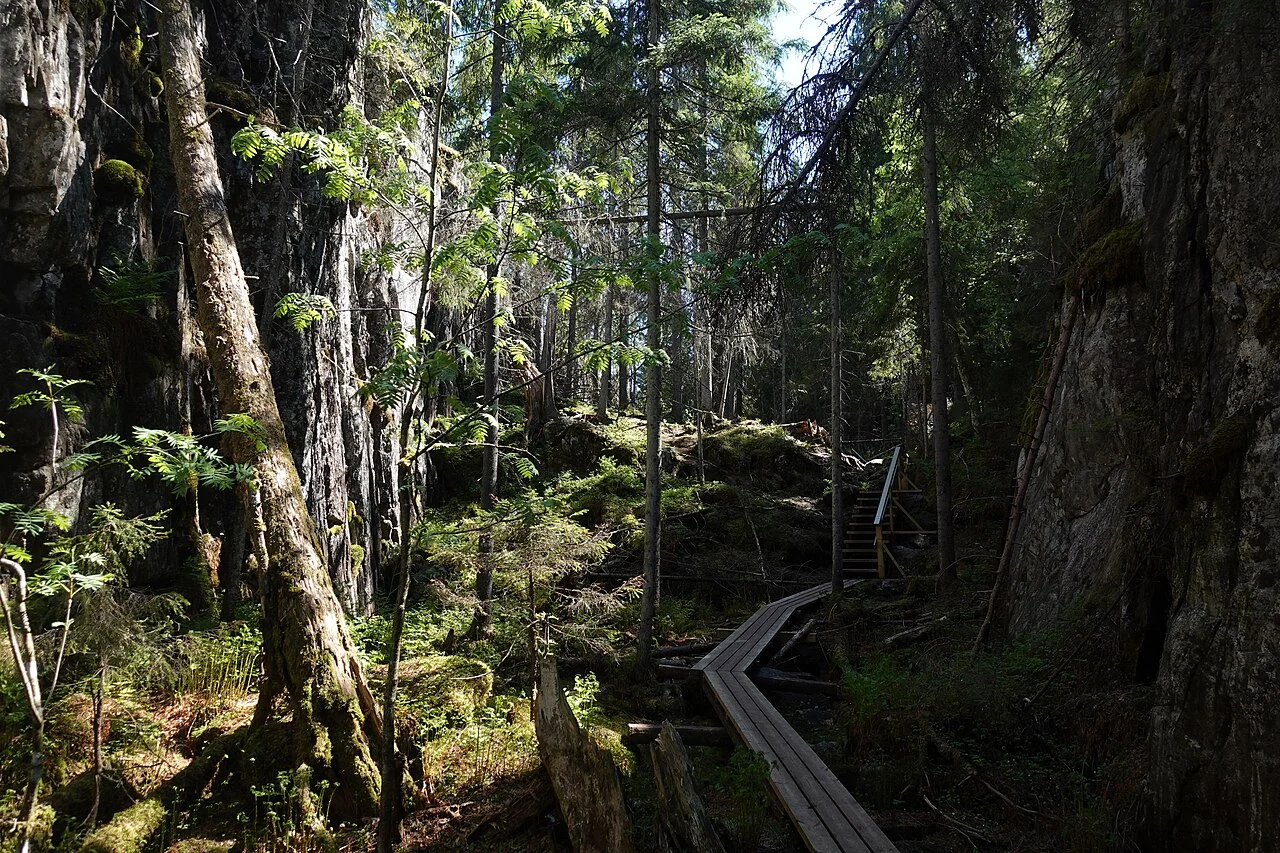 Northern Savonia