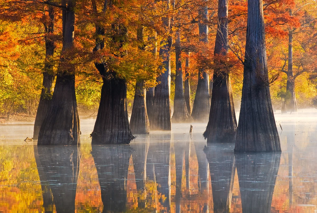 Arkansas