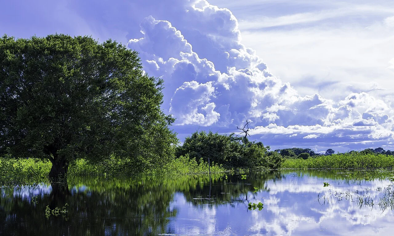 State of Mato Grosso