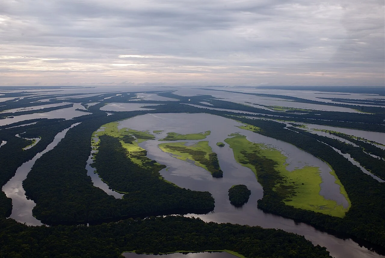 State of Amazonas