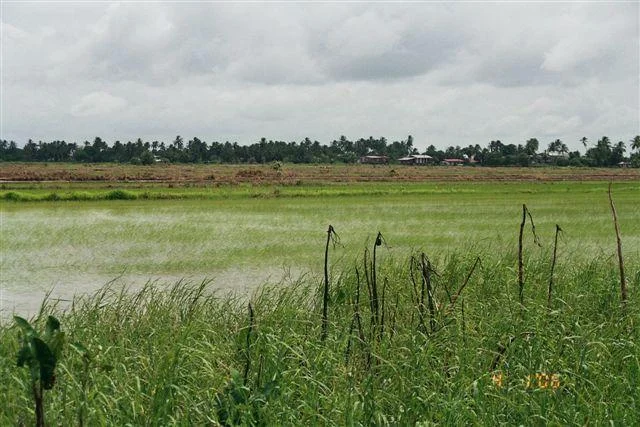 Nickerie District