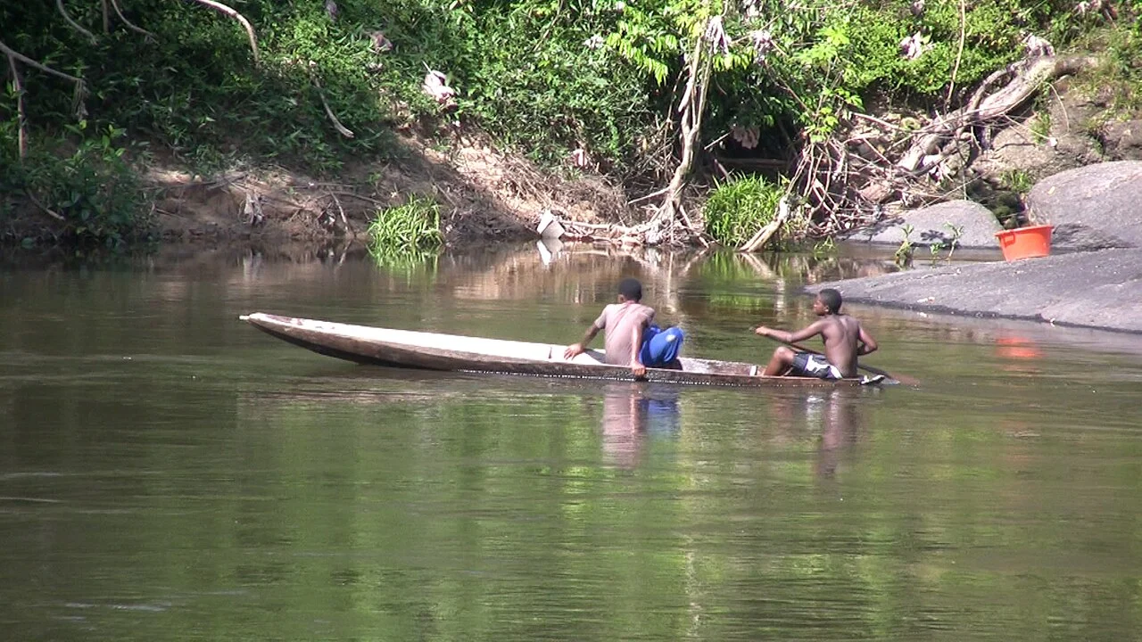 Sipaliwini District