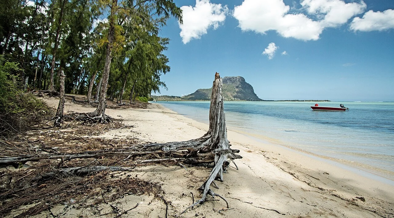 Ile aux Benitiers