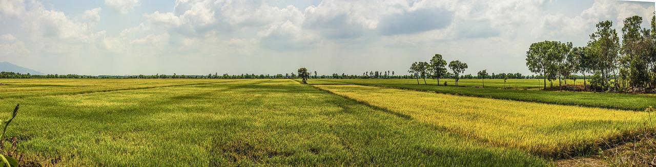 Mekong Delta