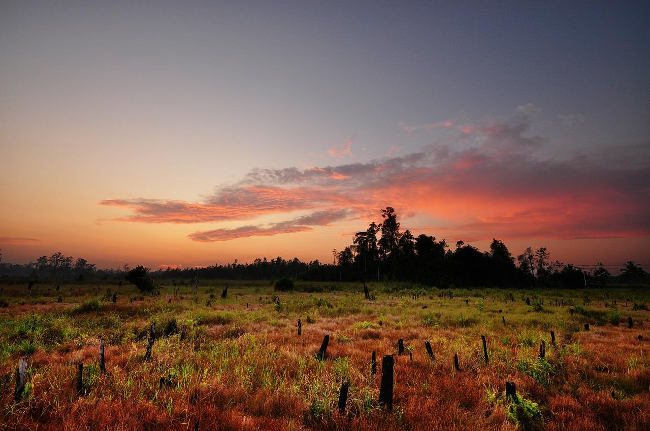 Kalimantan