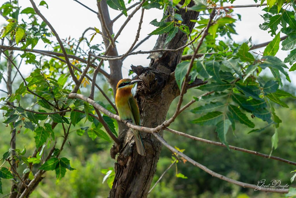 Udawalawe National Park