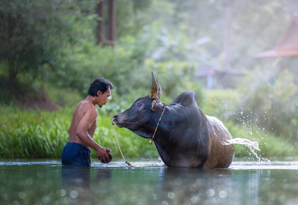 Nakhon Si Thammarat Province