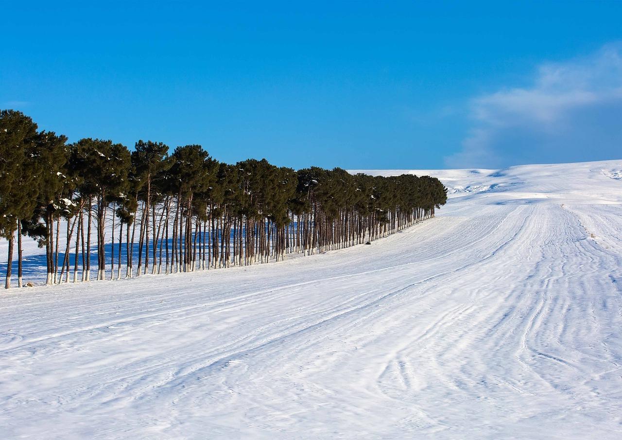 Shaki-Zaqatala Region
