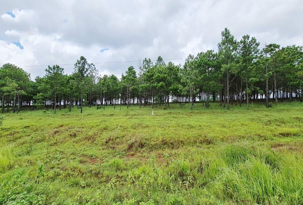 Mondulkiri Province