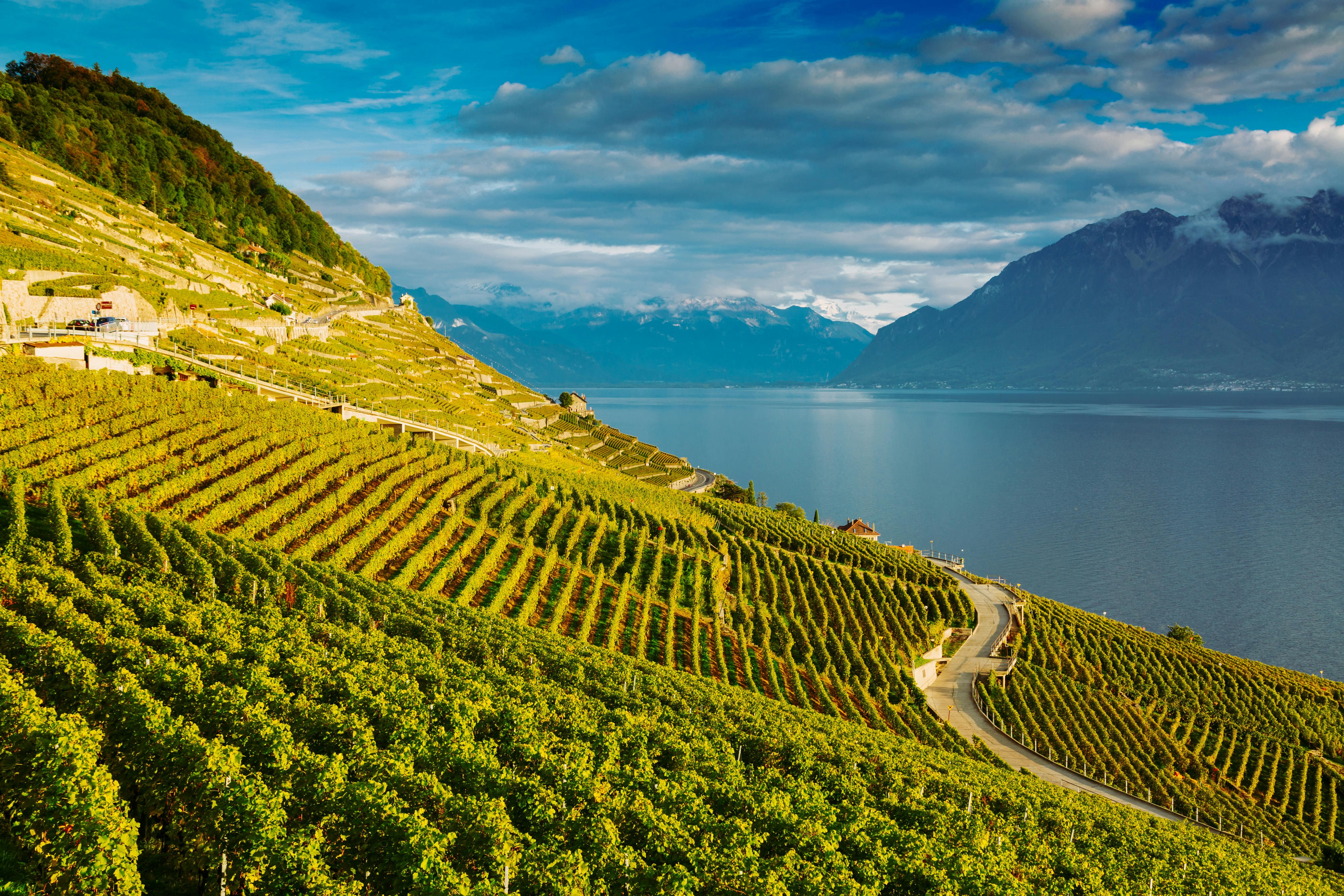 Canton of Vaud