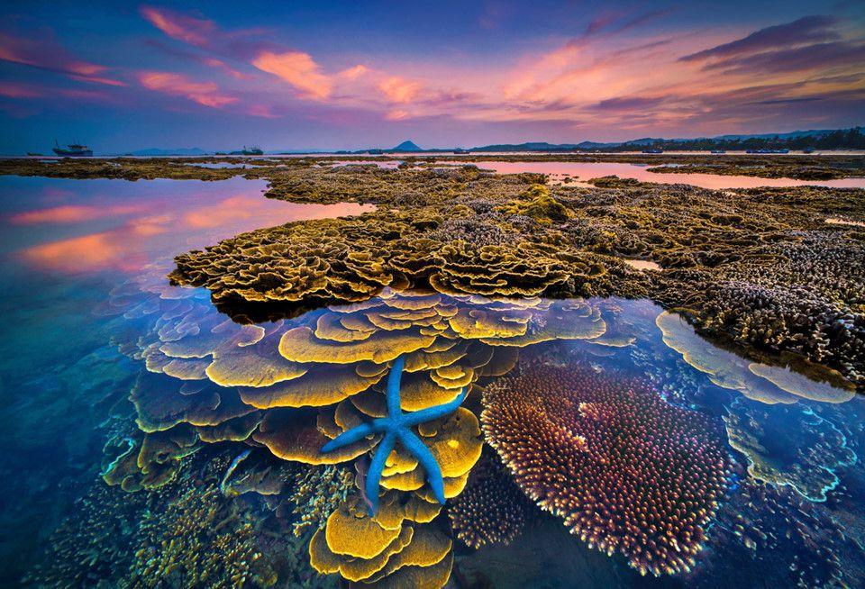 Phu Yen Province