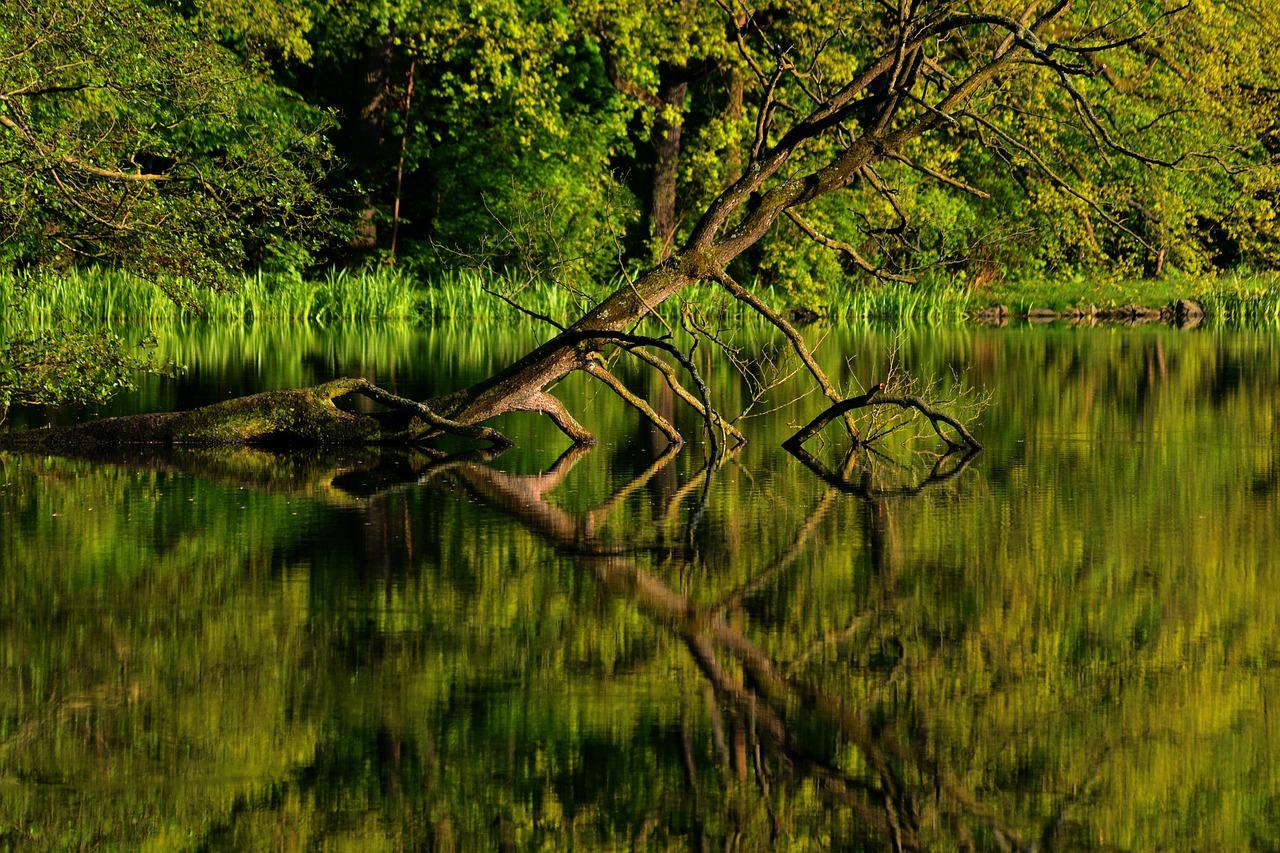 Thuringia