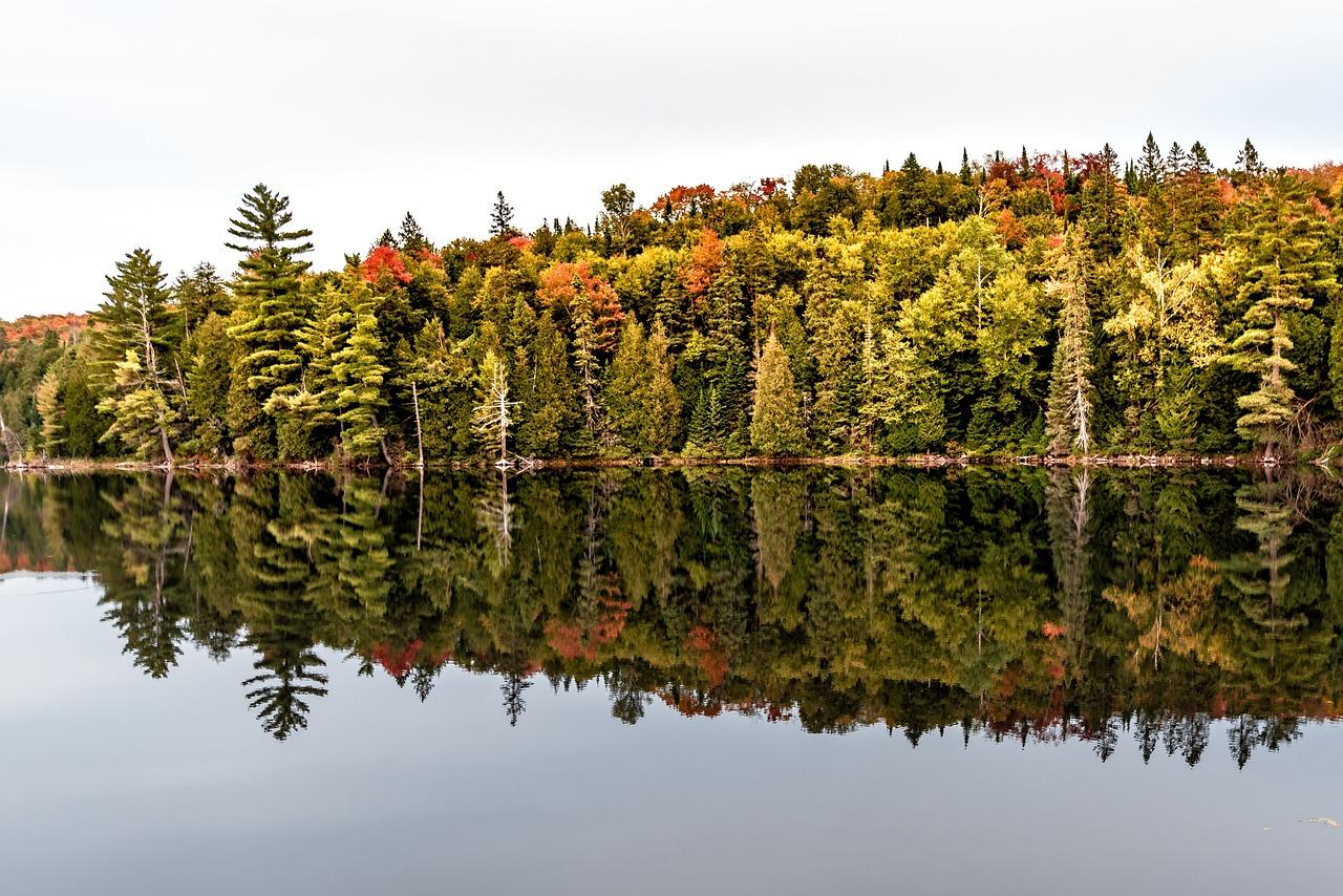 Ontario