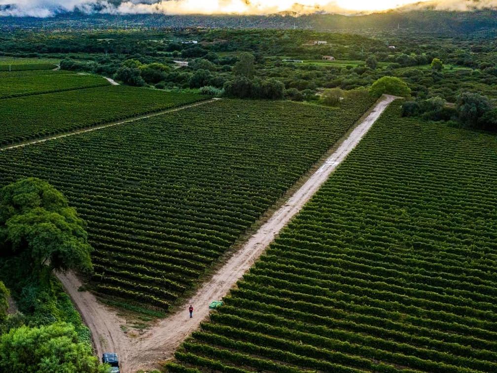 Tarija Department