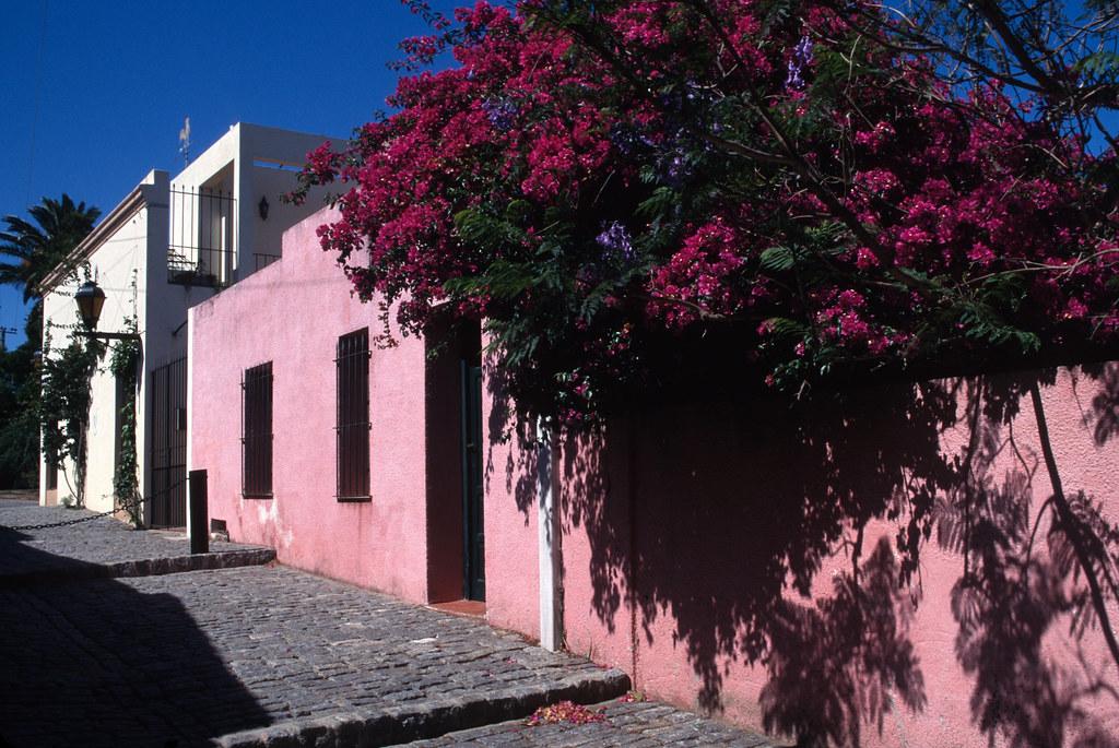 Colonia Department