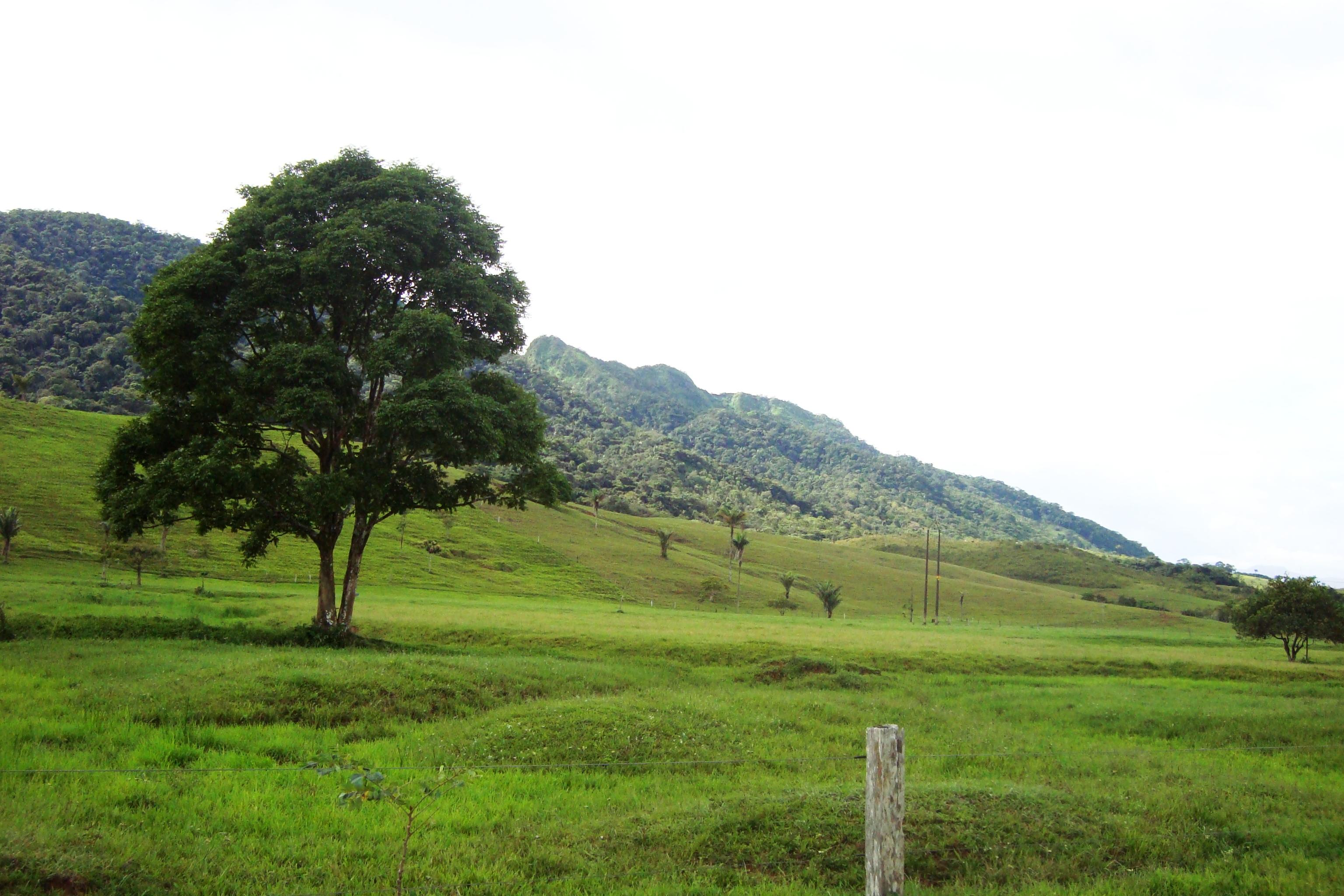 Caqueta Department