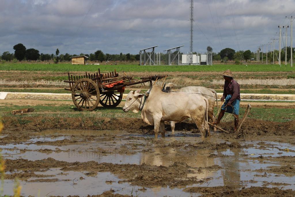 Magway Region