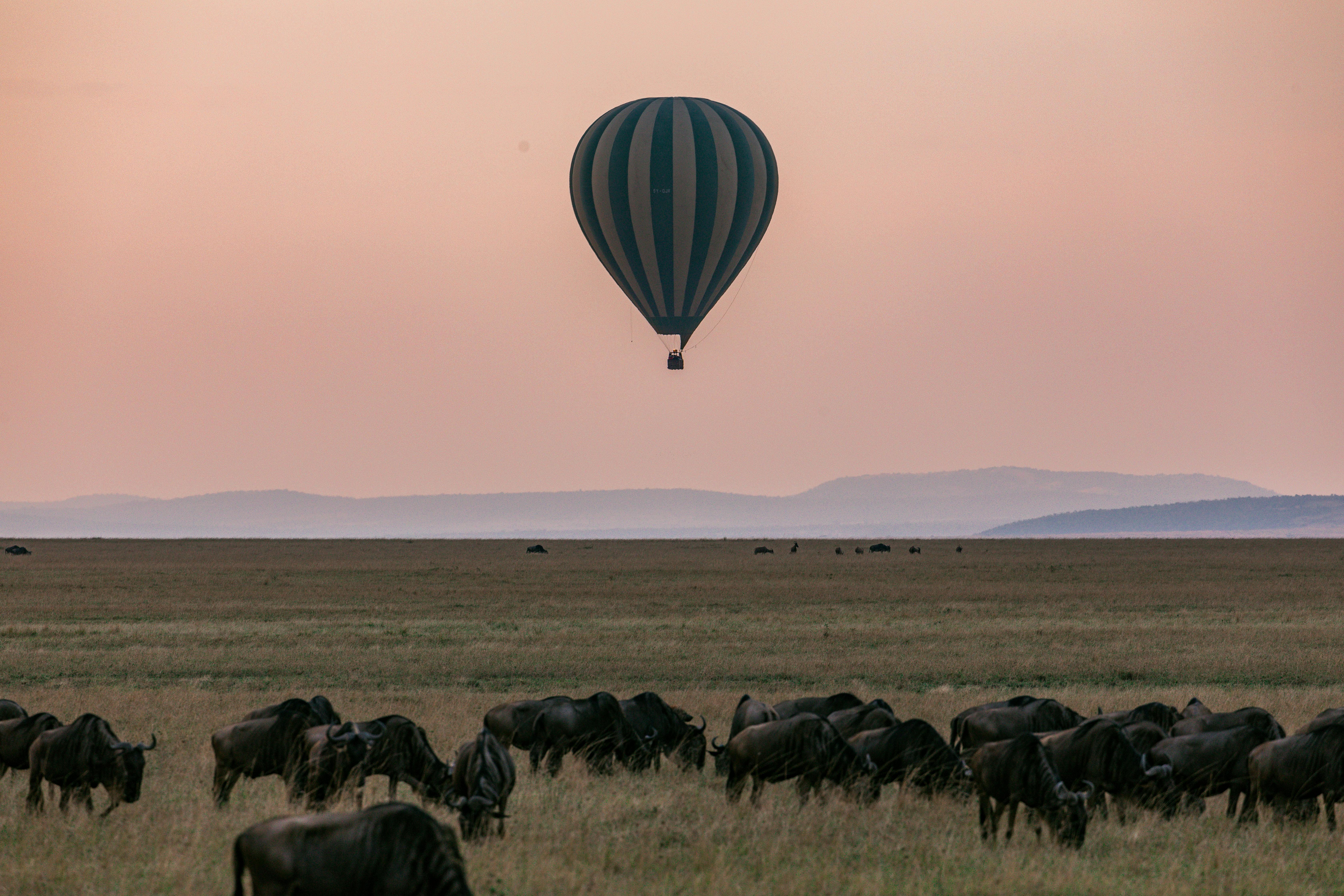 Serengeti National Park