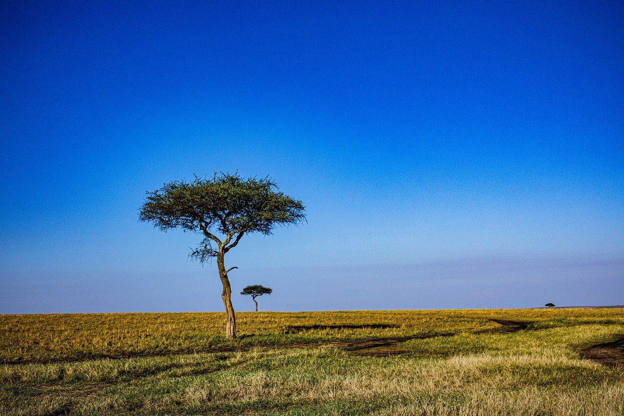 Rift Valley Province