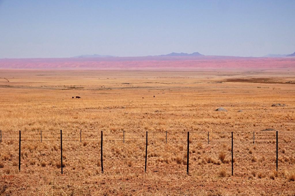 Karas Region