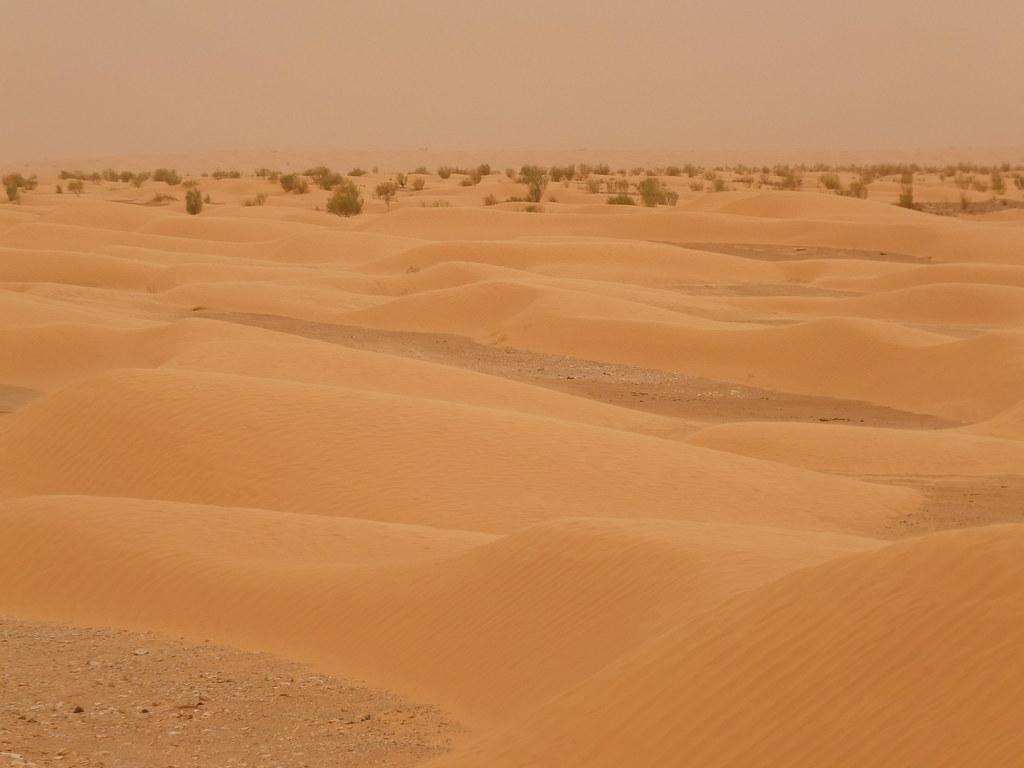 Kebili Governorate