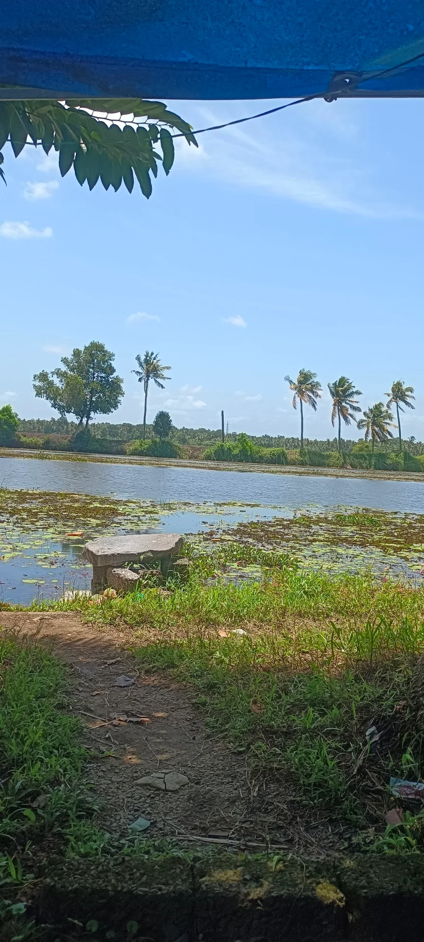 Mundar