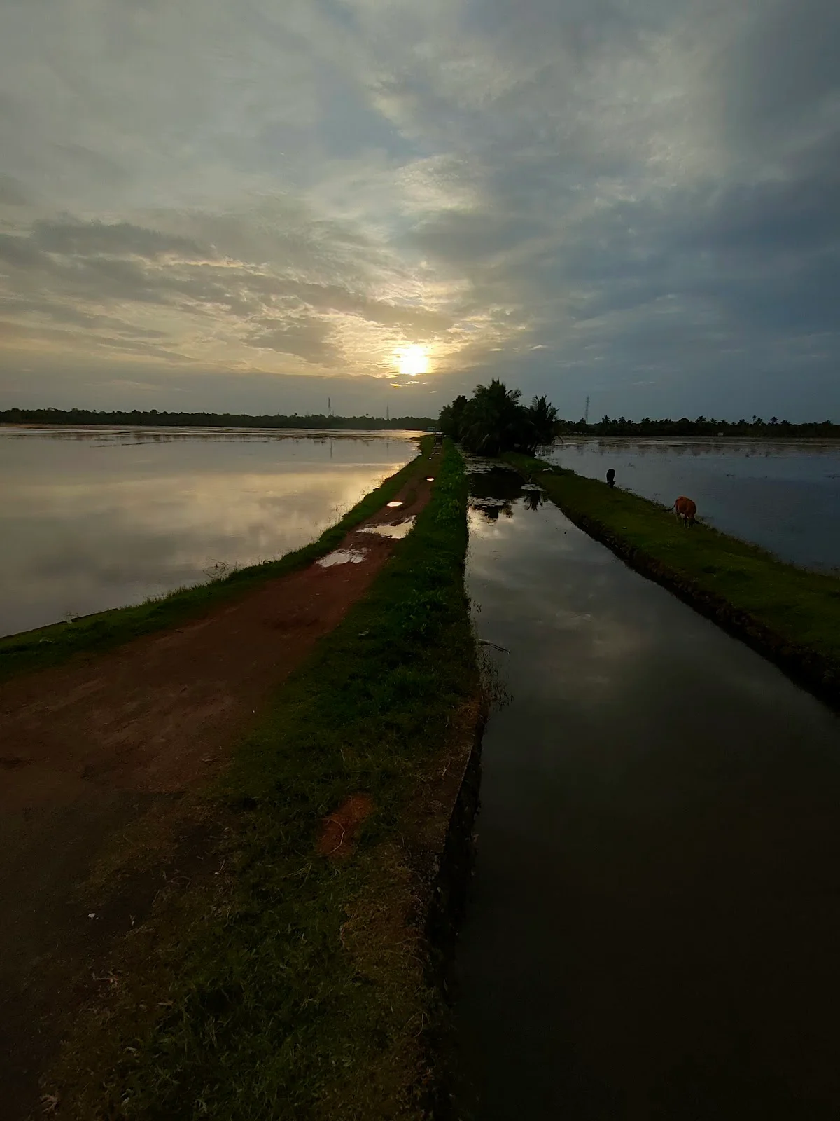 Ezhumanthuruthu View point
