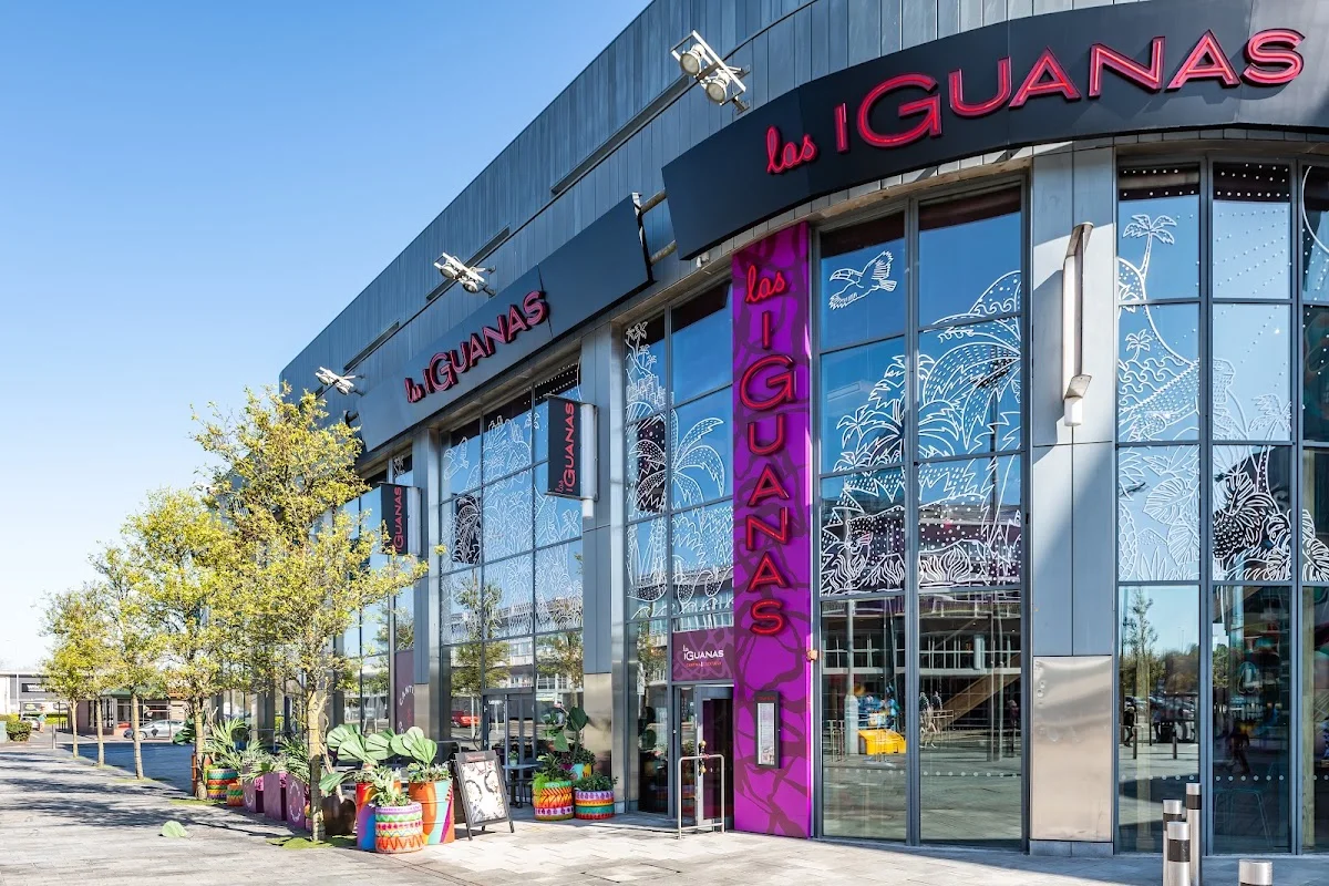 las IGUANAS