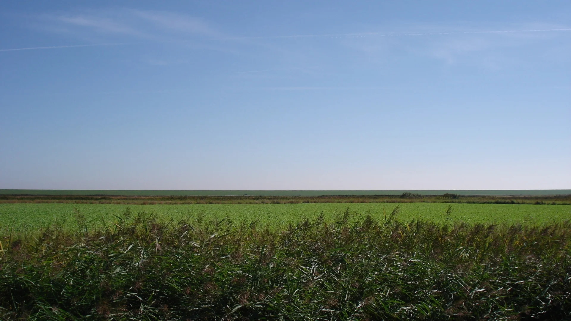 A broad flat countryside landscape sits beneath a large changing sky.