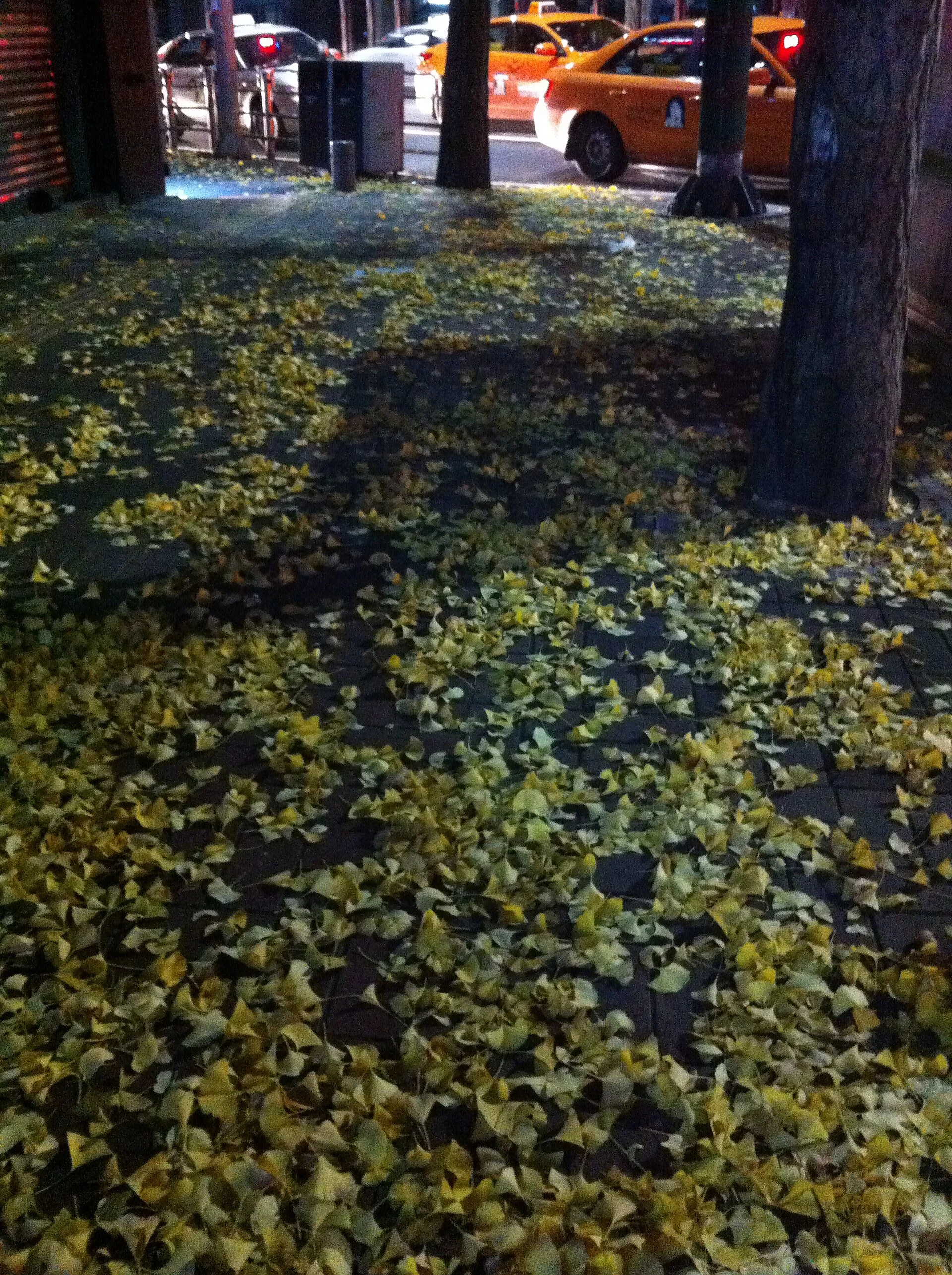 Red autumn leaves frame a traditional roof in Seoul.