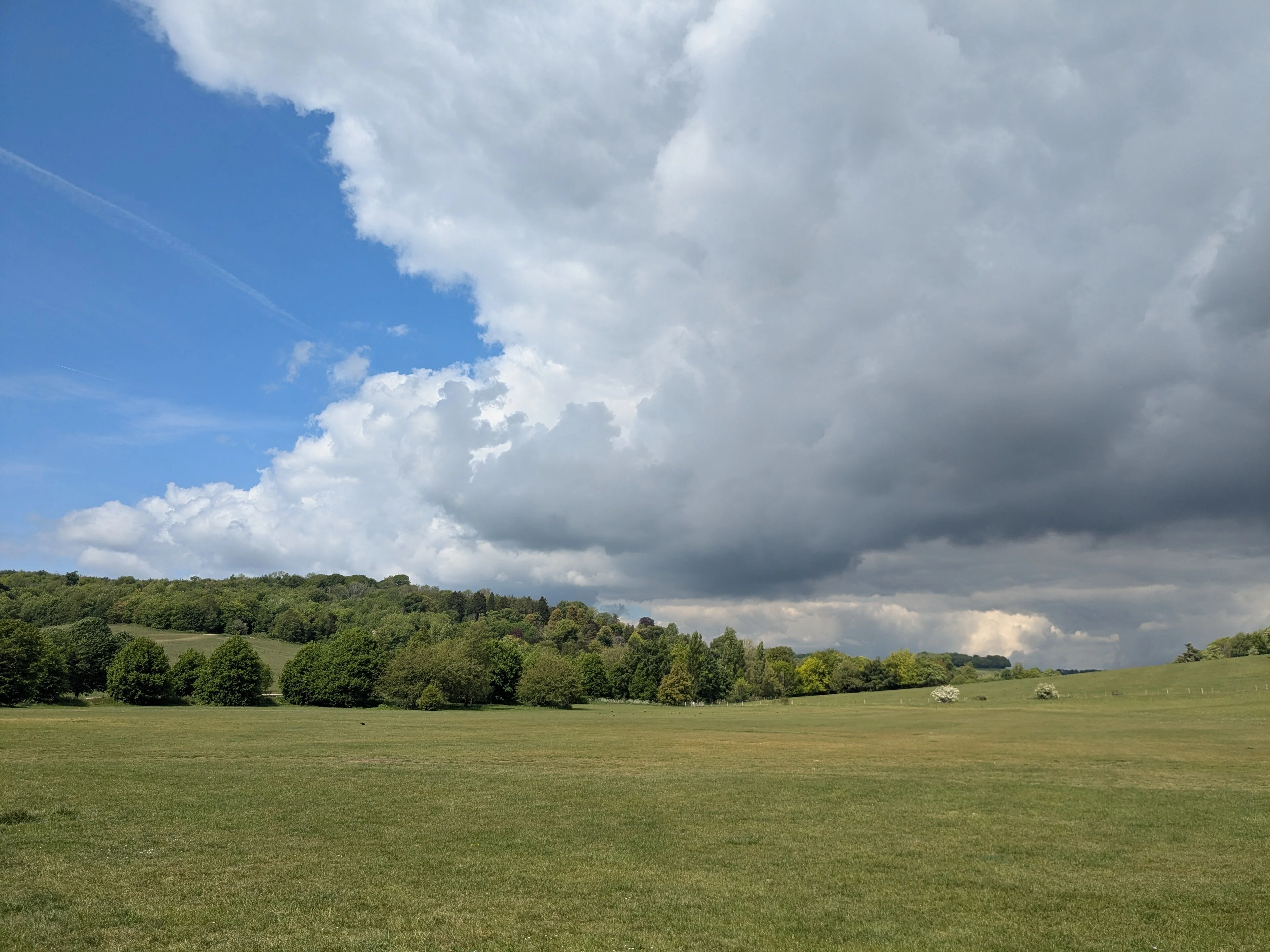A broad view across the lawns, trees and rolling fields of Stanmer Park.