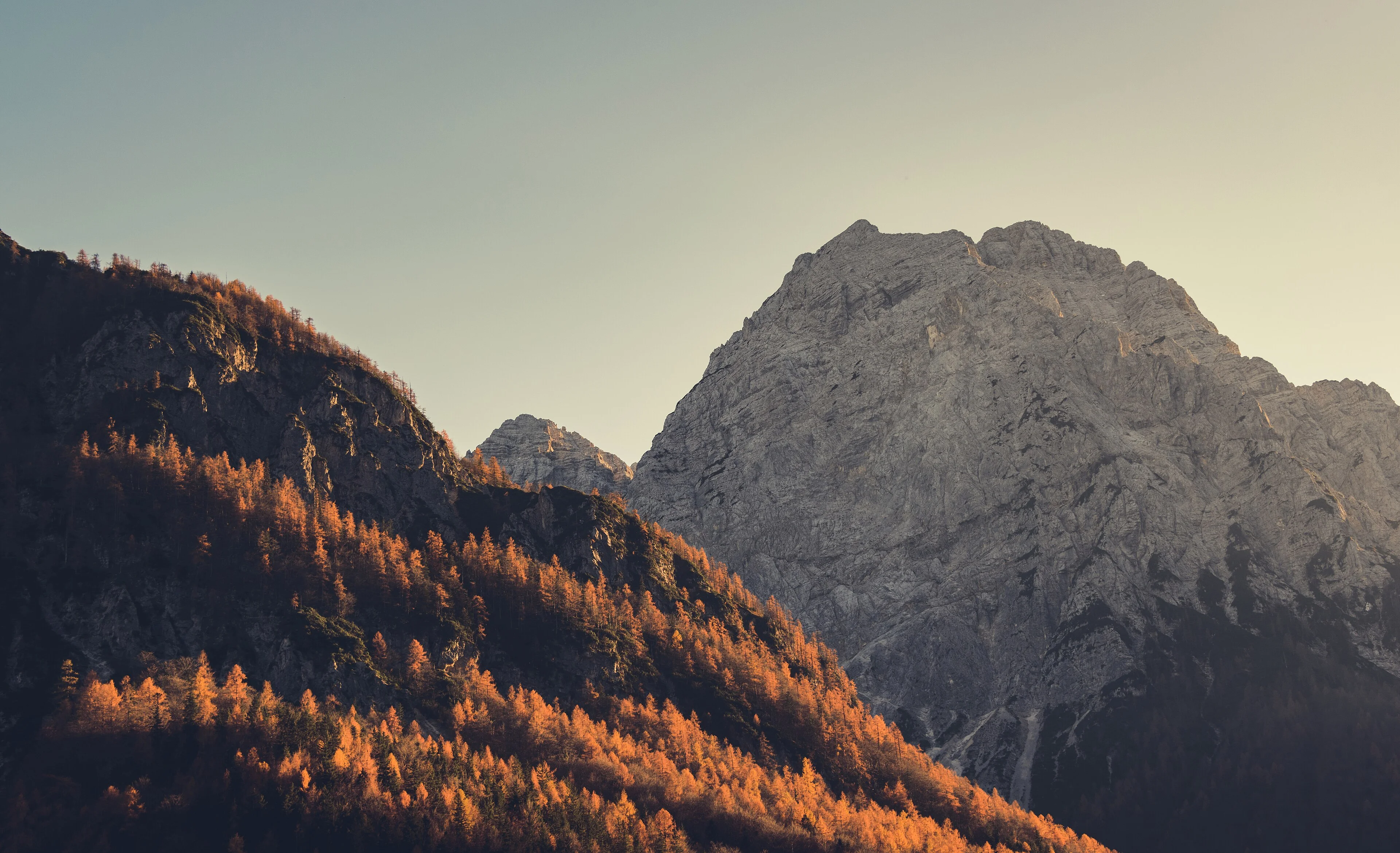 Gold and green forest rises beneath pale limestone peaks in the Julian Alps.