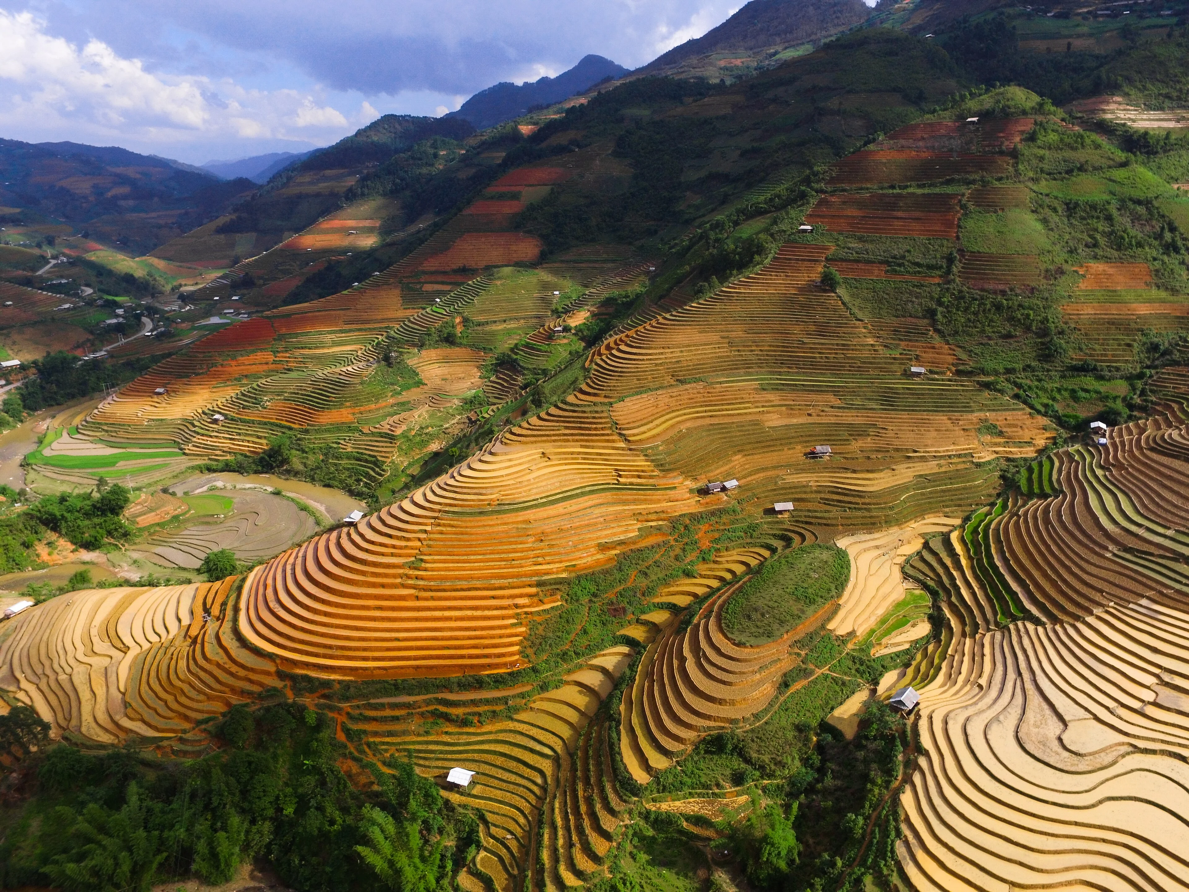 Layered rice terraces curve around steep green hills in Che Cu Nha commune, Mu Cang Chai.