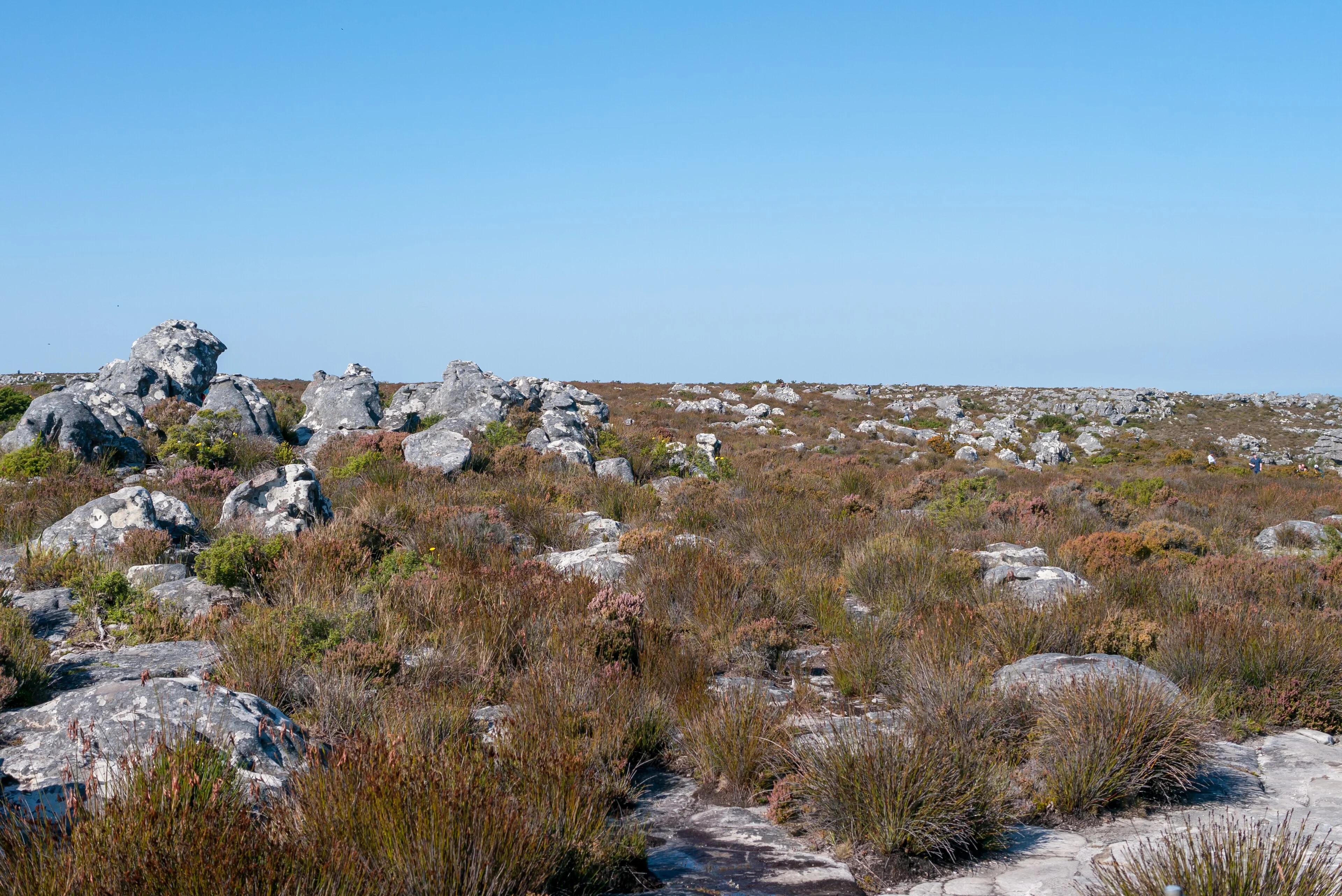 Table Mountain rises above Cape Town under a clear blue sky.