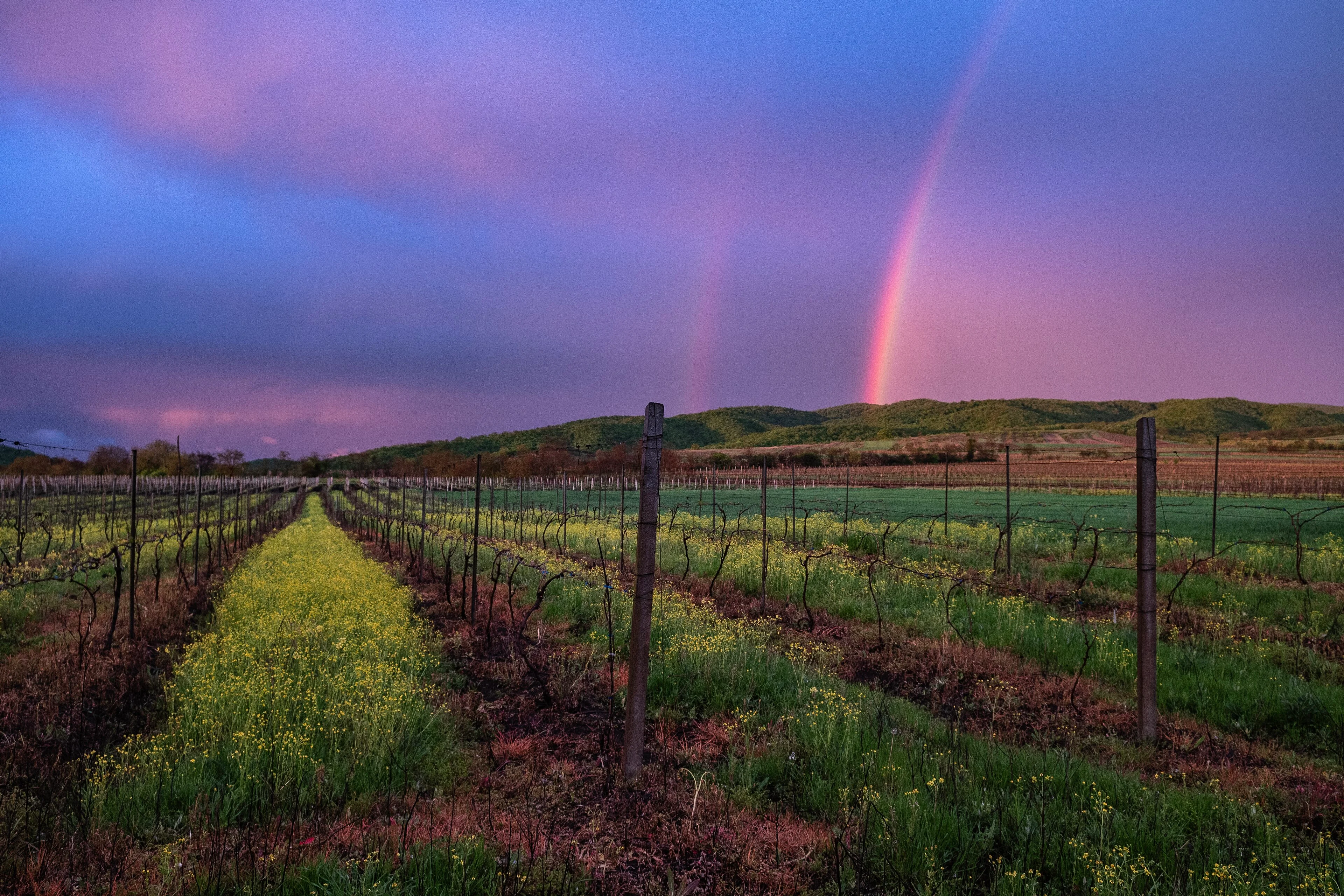 A rainbow arcs over green fields and distant mountains in Kakheti.