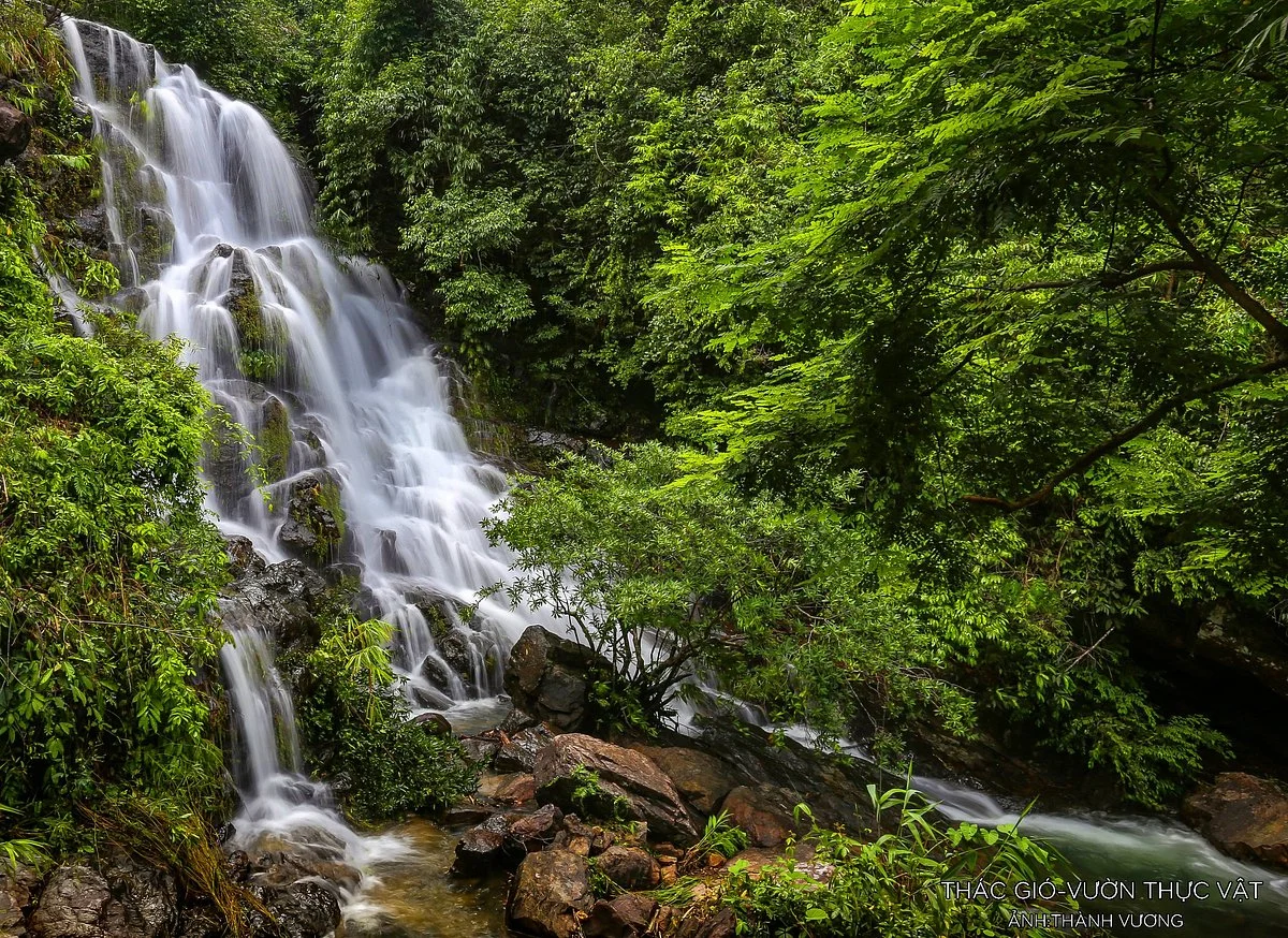 Phong Nha Botanic Garden