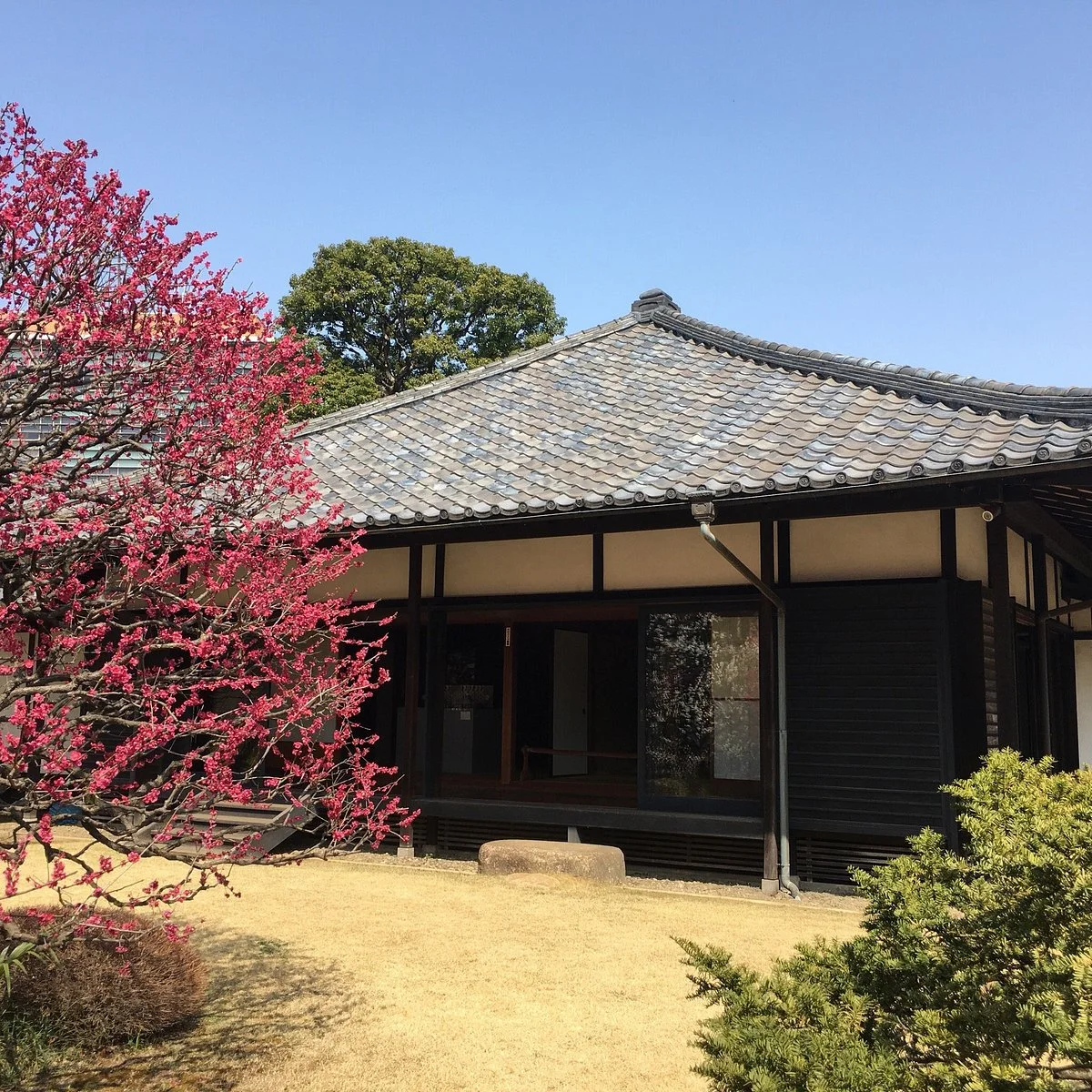 Hirakushi Denchu Art Museum
