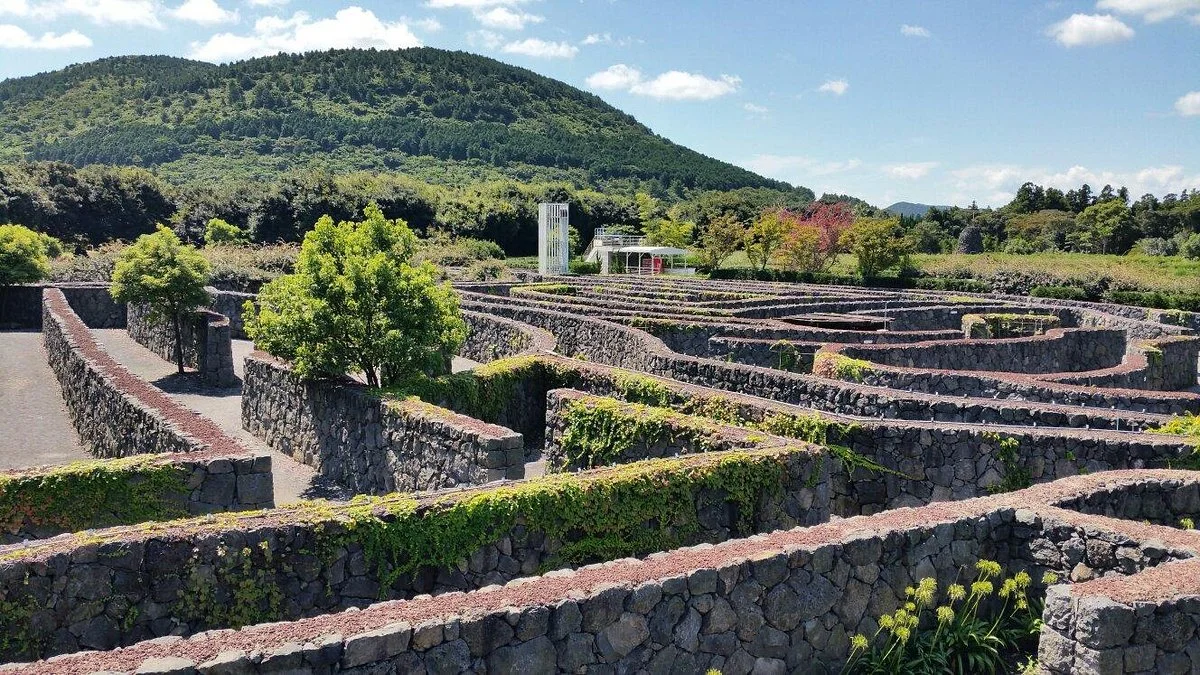 Maze Land