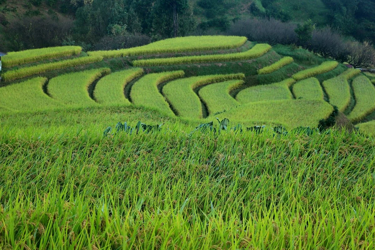Shimoakasaka Tanada