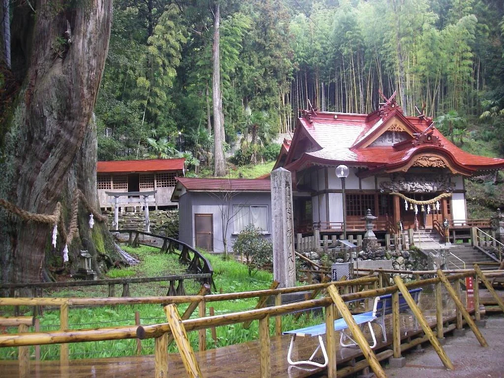 Sugi no Osugi