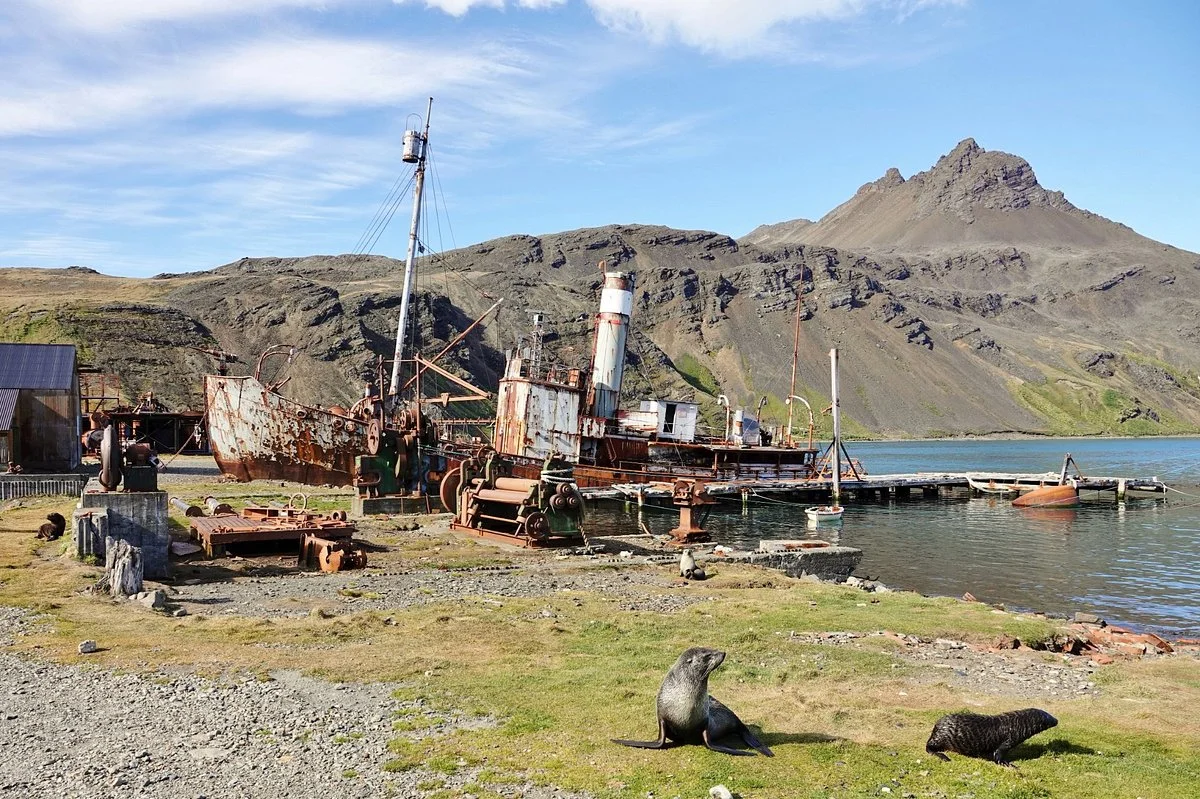 Grytviken Whaling Station