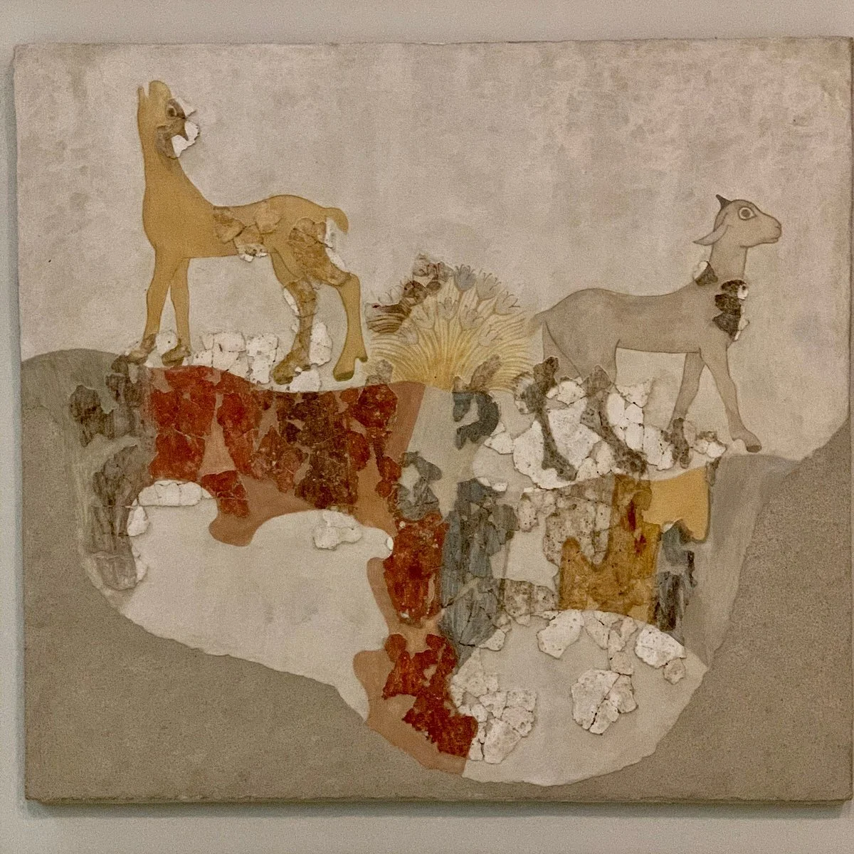 Museum of Prehistoric Thira