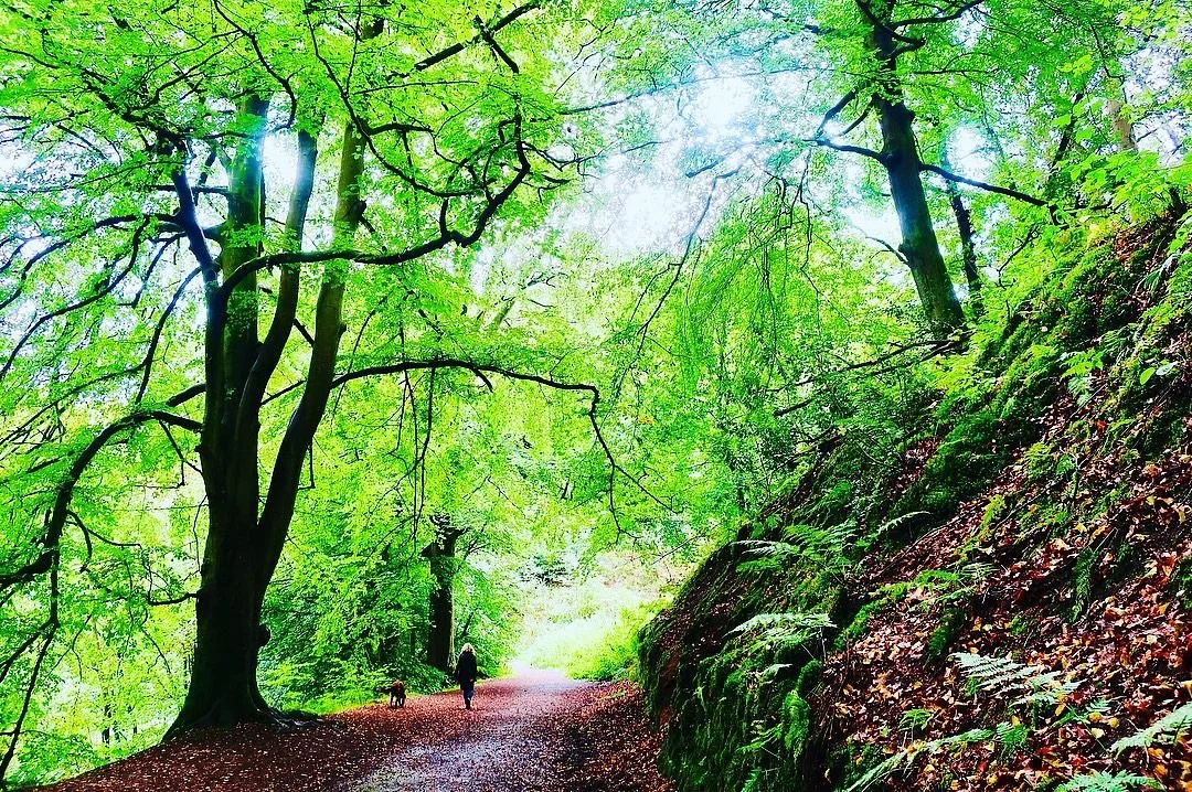 Dimmingsdale