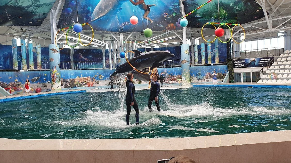 Yevpatoriya Dolphinarium
